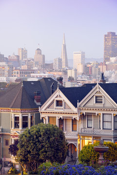 USA, California, San Francisco, Victorian houses on Steiner Street at Alamo Square in front of the skyline