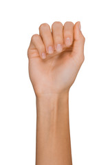 Isolated Empty open woman female hand in a position on a white background