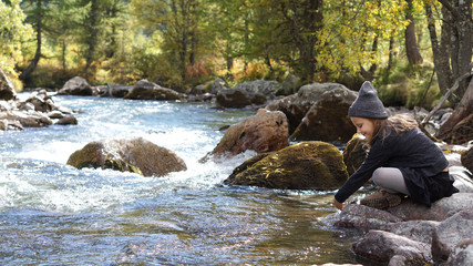 Journée d'automne en forêt