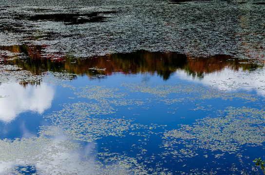 Sutumn Images – Browse 278 Stock Photos, Vectors, and Video | Adobe Stock