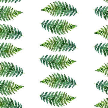 watercolor seamless pattern with tropical ferns
