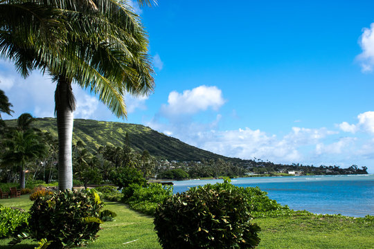 Hawaii kai beach