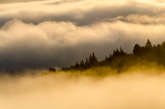 sunrise over Lake Sonoma with golden fog
