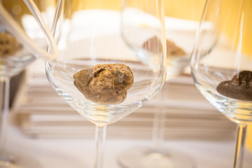 Tasting white truffle with italian pasta