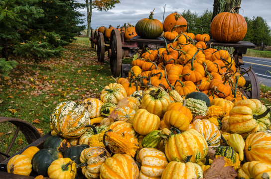 large pile of gourds and pumpkins spilling off old wagon