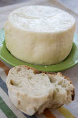 bread and ewe's milk cheese or pecorino