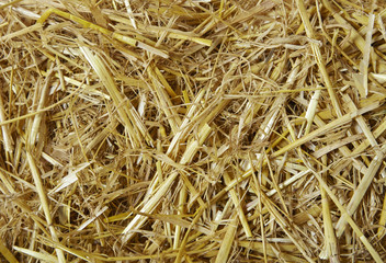 A full page of clean straw background texture