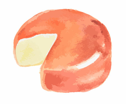 Isolated watercolor cheese on white background