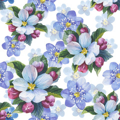 Wildflower myosotis flower pattern in a watercolor style isolated. Full name of the plant: forgetmenot, myosotis. Aquarelle flower could be used for background, texture, pattern, frame or border.