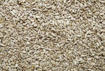 A full page of sunflower seed background texture
