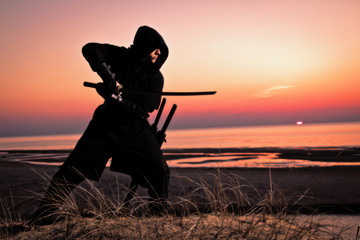 assassin at the sea