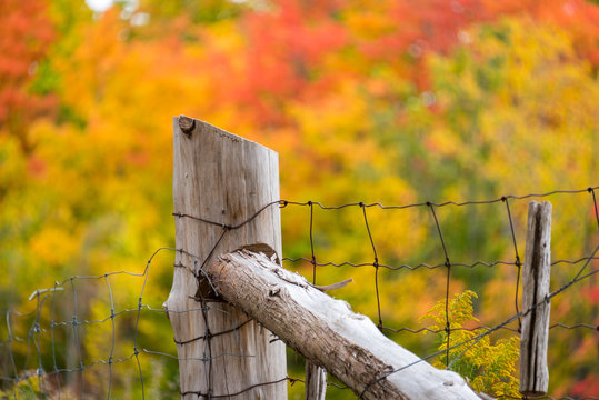 old fence post with autumn trees in background