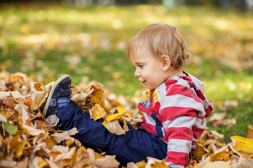 little child playing in park in autumn