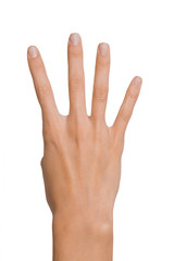Obraz premium Isolated Empty open woman female hand in a position of number Four on a white background