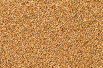 beach sand dune texture background.