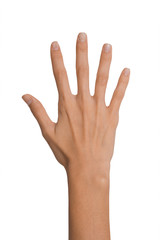 Obraz premium Isolated Empty open woman female hand in a position of number Five on a white background