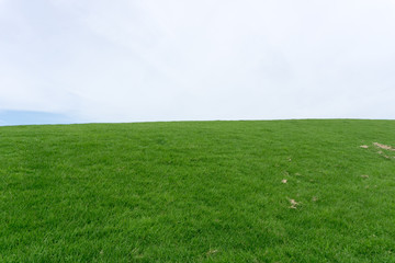 Obraz na płótnie Canvas 芝生の丘と空