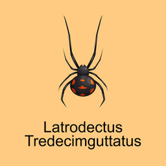 Spiders cartoon set, dangerous insects collection