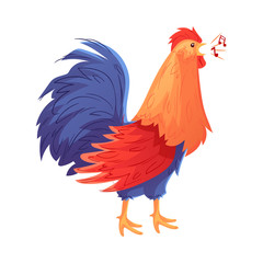 Full body of colorful rooster, cartoon vector illustration isolated on white background. Side view ofbright and colorful rooster, standing and singing on white background