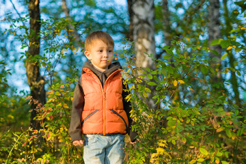 Boy stands in the autumn forest among the trees