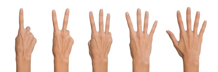 Collage Collection of Isolated Empty open woman female hand in a position of number One, Two, Three, Four and Five on a white background