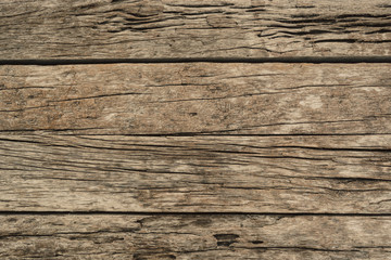 old, grunge wood panels