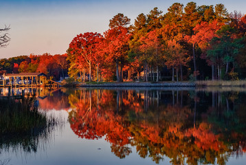 Fall color at the cottage