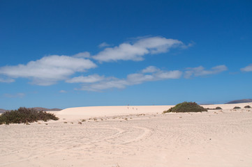 Fuerteventura, Isole Canarie: le dune di sabbia del parco naturale di Corralejo il 31 agosto 2016: 11 chilometri di dune formatesi dalla sabbia del Sahara portata dal vento