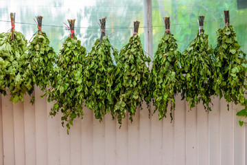 Birch besoms for Russian bath are dried on the aluminum wire