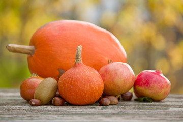autumn fruits