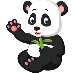 baby panda cartoon