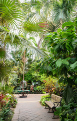 Fototapeta premium Buffalo and Erie County Botanical Gardens
