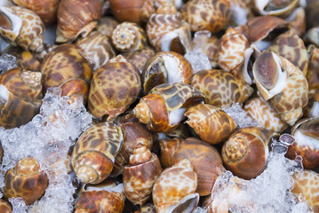 Grilled snails