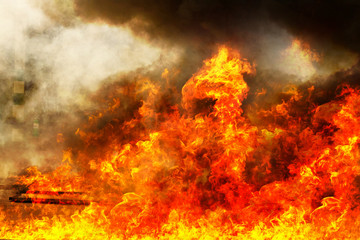 Fototapeta na wymiar blaze fire flame texture background, Burning fire background