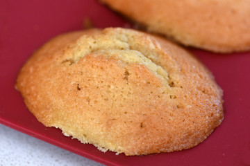 madeleine