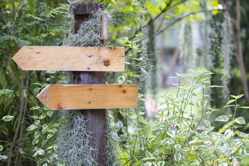Old wooden signs in the garden.