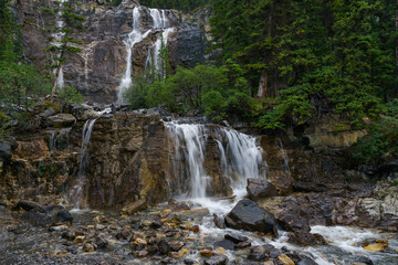 Fototapeta premium Tangle Falls