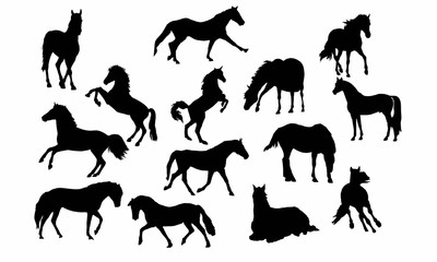 The Horses Silhouette