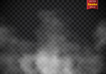 Fog or smoke isolated transparent special effect. White vector cloudiness, mist or smog background. Vector illustration