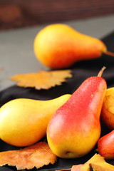 Harvest of autumn pears