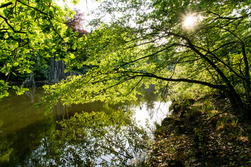 Spiegelung - Mirroring