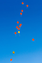 Lass los ! - Let it go !