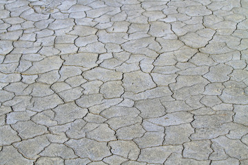 Sol craquelé par la sécheresse