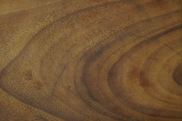 Fototapeta na wymiar A full page of olive wood grain background texture