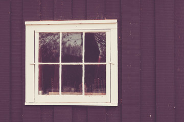 Architectural Window Details