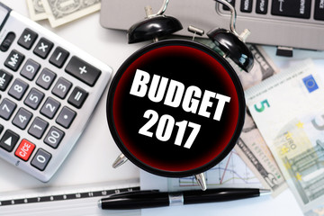 2017 budget or cost forecast