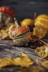 Autumn still life with pumpkins and leaves on old wooden backgro