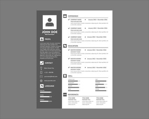 Curriculum Vitae Light Color