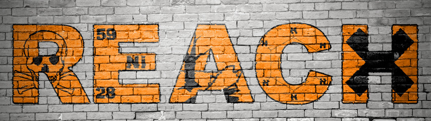 Fototapeta na wymiar REACH Verordnung Ziegelsteinmauer Graffiti