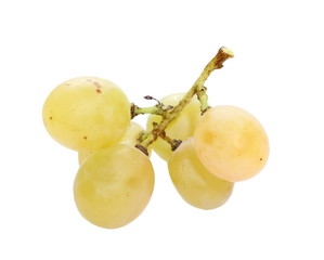 white grapes on white background, with clipping path